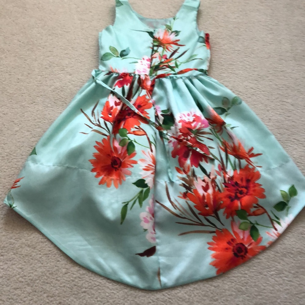 Beautiful Dress - Picture 7 of 10